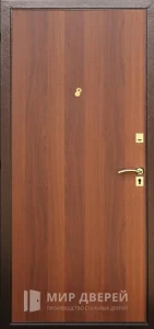 Дверь для дома с порошковой краской и ламинатом №63 внутренняя
